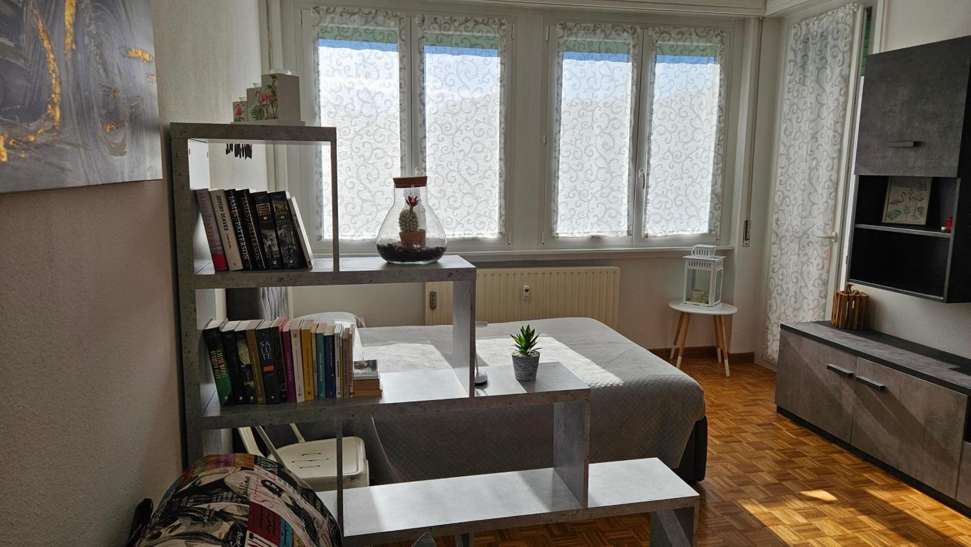 Dana'S House Apartment Campione d'Italia Ngoại thất bức ảnh